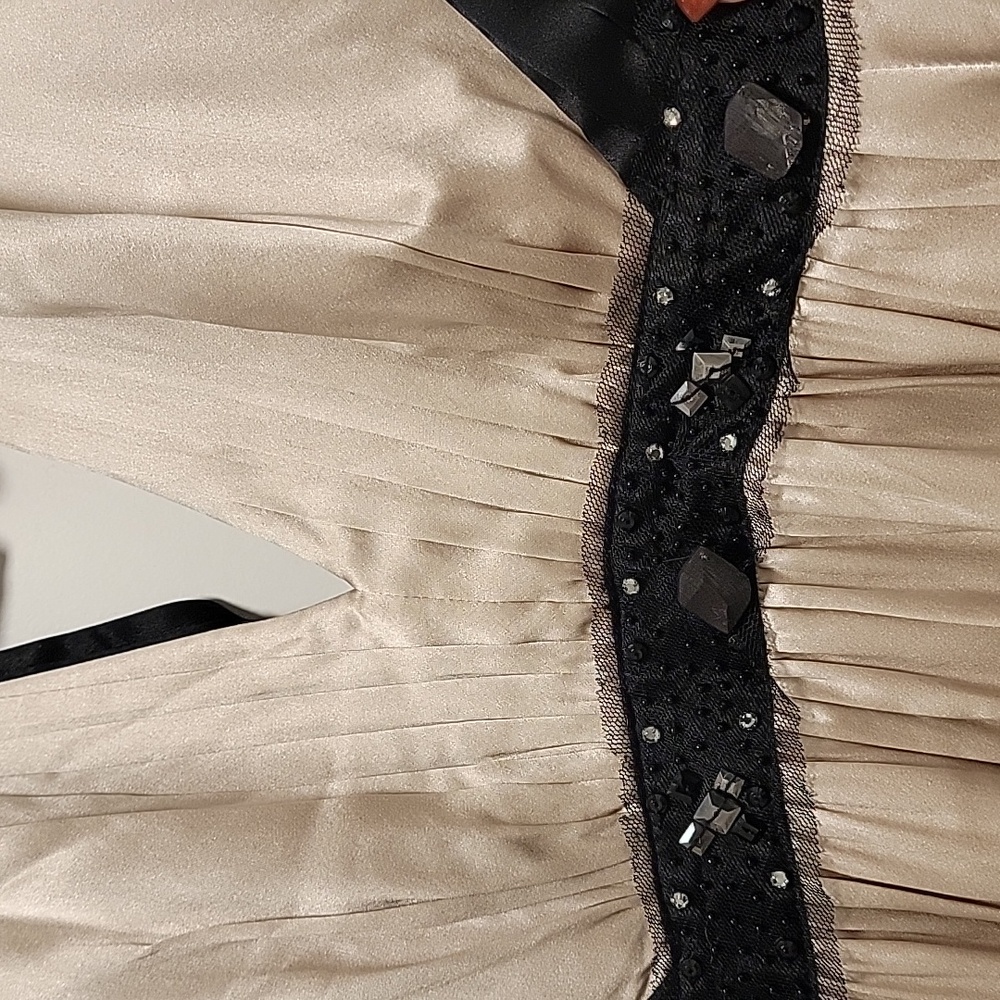 BCBG MaxAzria Cream and Black Dress - Picture 6 of 9